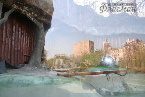 IMG_0546_r